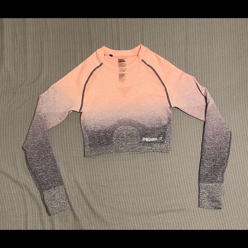 Adapt Ombré Seamless Long Sleeve Crop Top